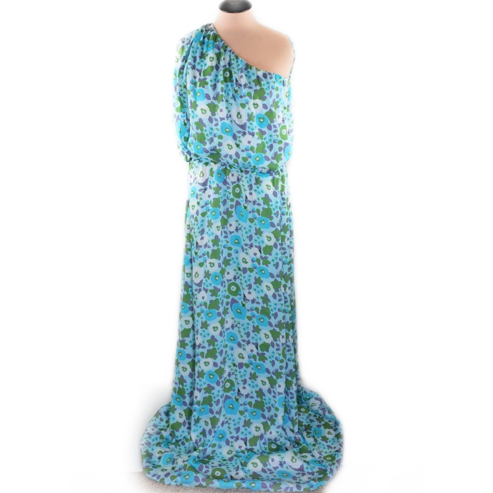 **Store CLOSING SALE** Tucker One Shoulder Maxi Dress Silk Dillon's - Picture 2 of 8